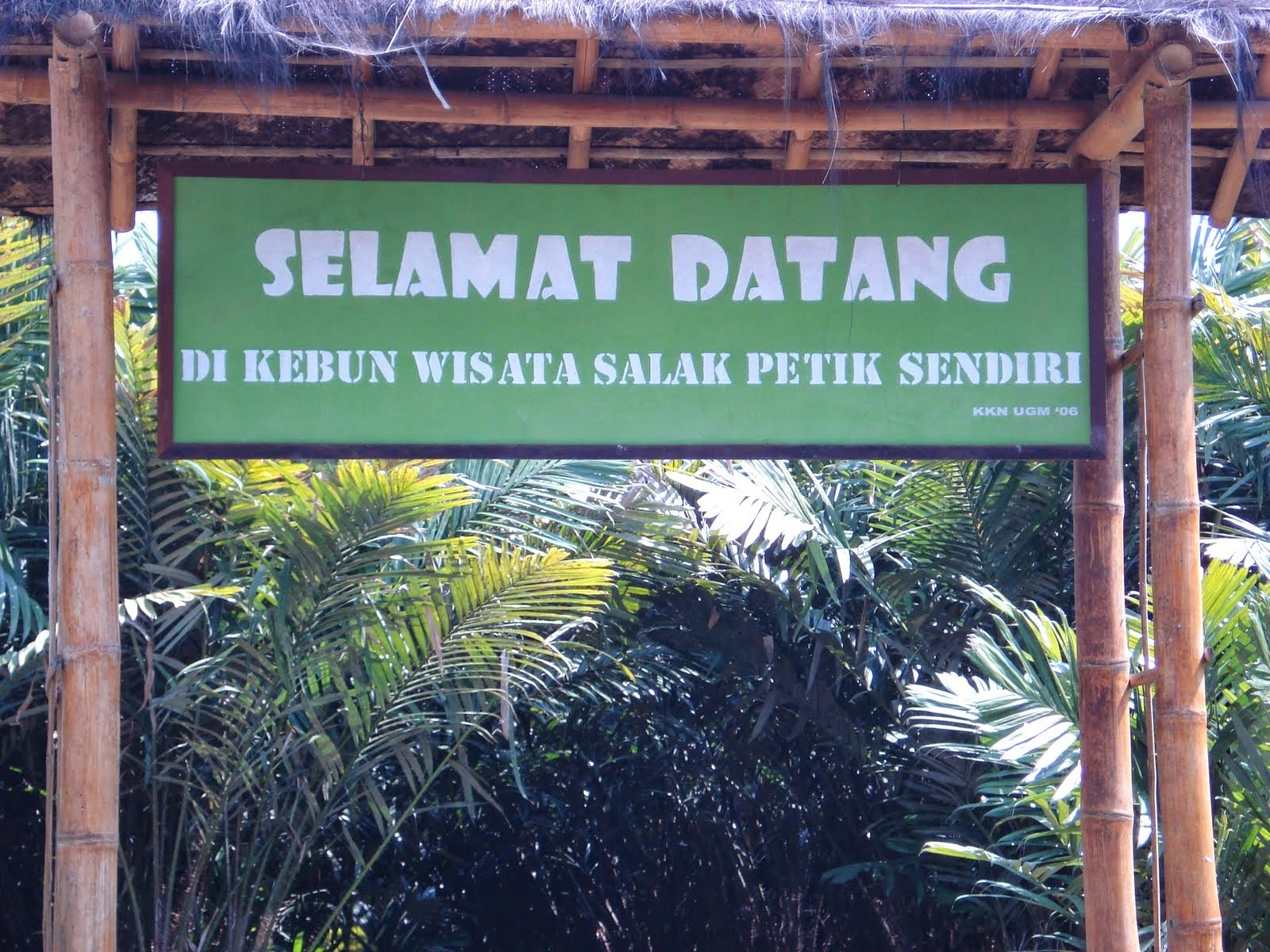 
        Agrowisata Omah Salak Sleman
    
