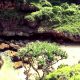 Pantai Mbirit, Pantai Mini di Daerah Gunung Kidul